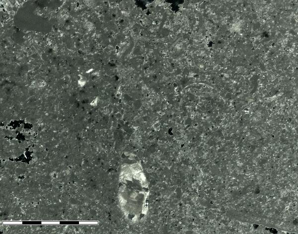 thin section, XPL
