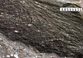 Close up of the schist at loc 1