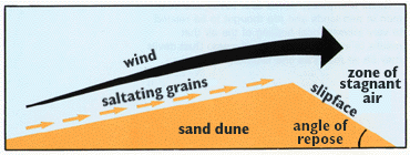 Formation of the ripple and dune like structures