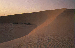 Migrating barchan dune