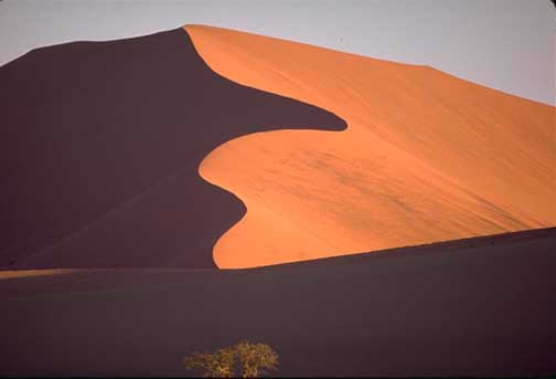 linear dunes