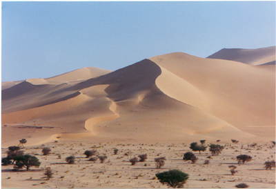 Dunes in the Tenere desert, Niger