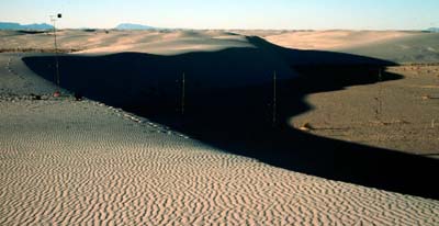 Transverse dunes
