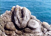 Photo of stromatolites