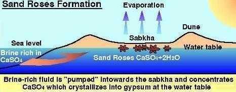 diagram of sand rose formation
