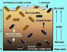 diagram of formation of gypsum crystals