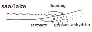 diagram of mineral precipitation in coastal sabkhas 