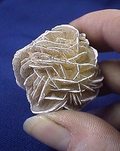 Photo of a gypsum rosette
