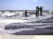 Photo of white oolitic beachrock