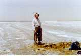 photo of a salt encrusted margin of a salt lake