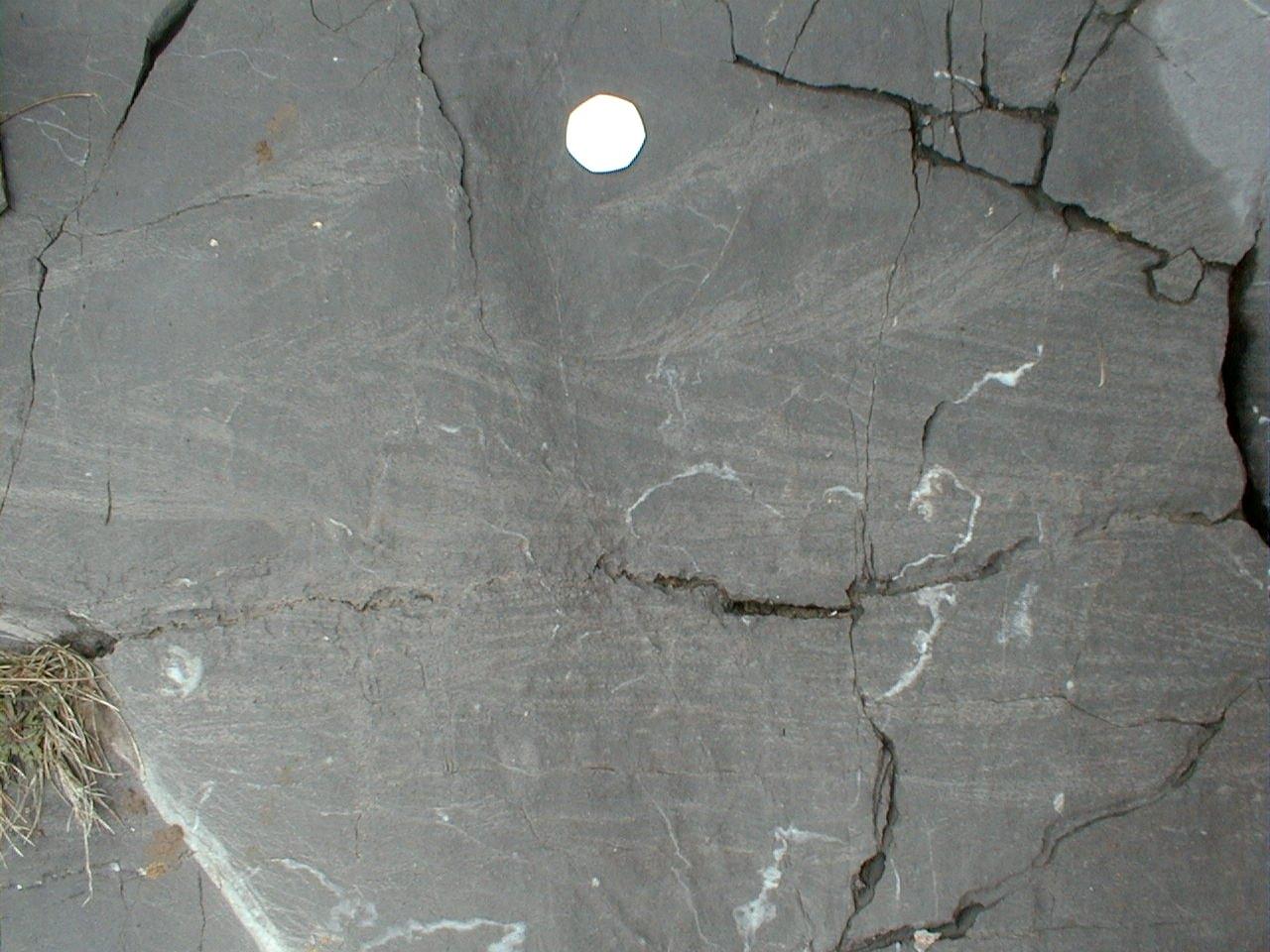 sedimentary structures