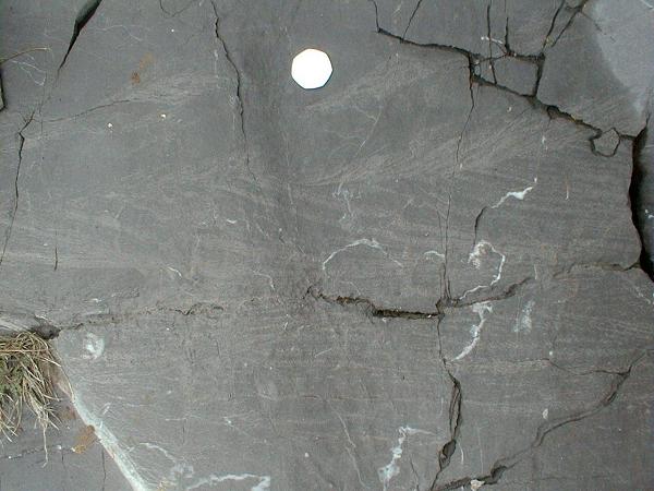 sedimentary structure