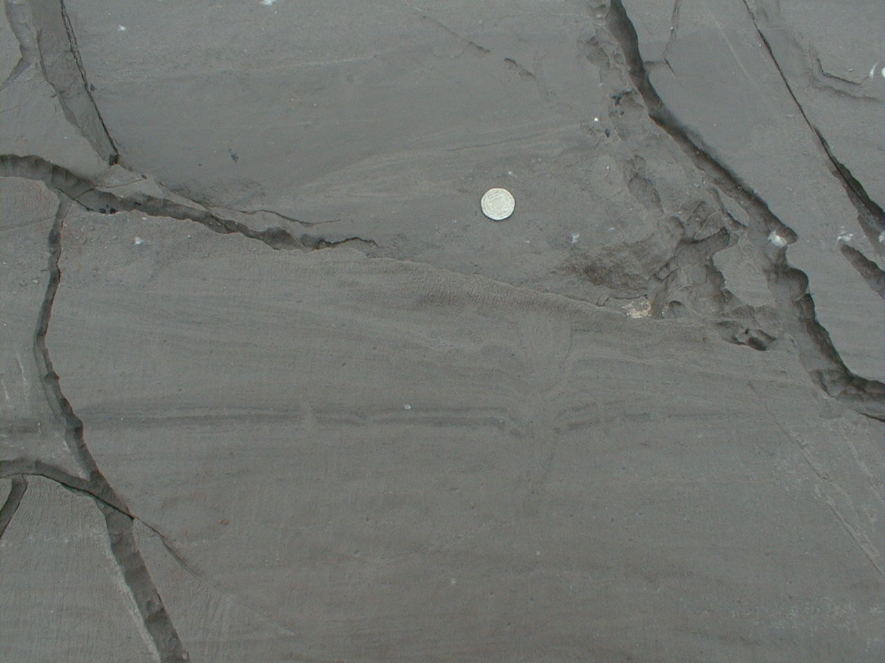 structure disturbs bedding