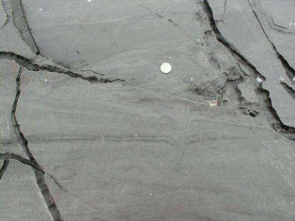 sedimentary structure