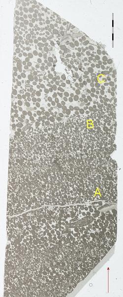 thin section