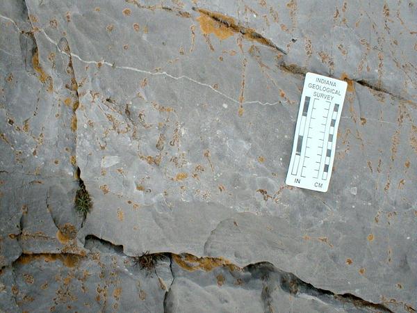 outcrop view