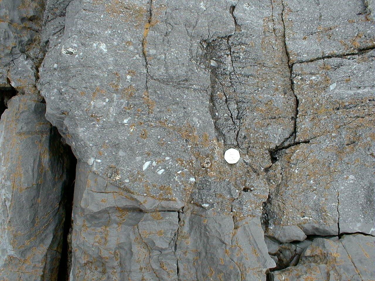 outcrop view