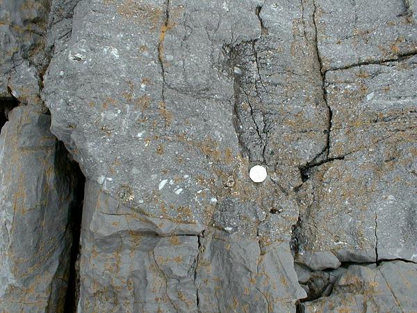 outcrop view