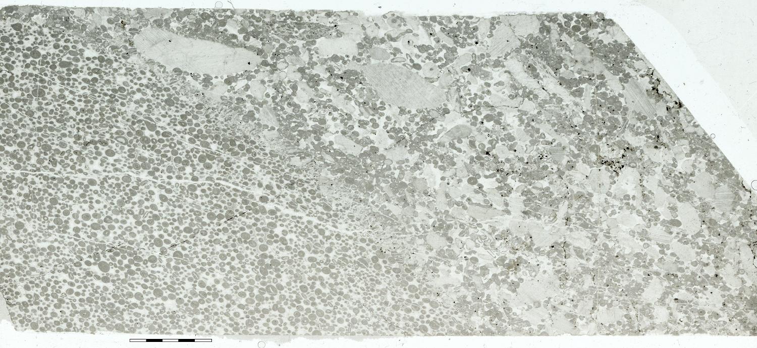 thin section PPL