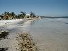 Grassy Key beach