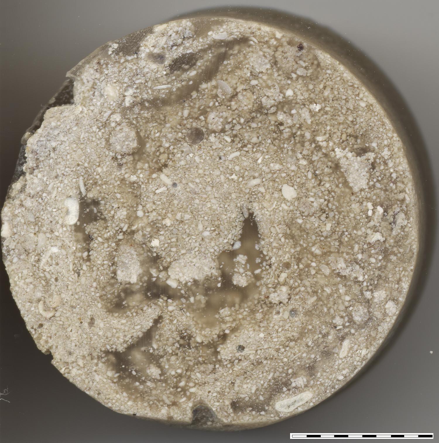 shore sediment resin mount