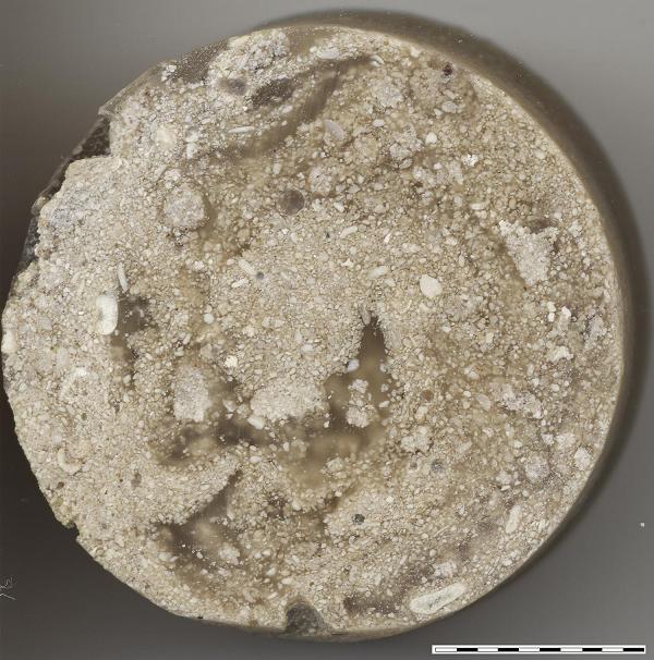 sediment resin mount