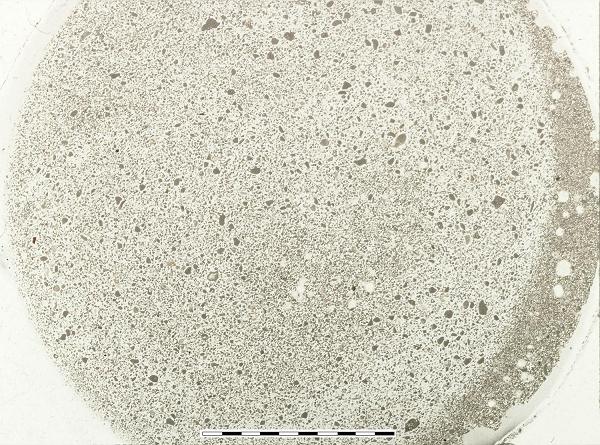 Sediment thin section