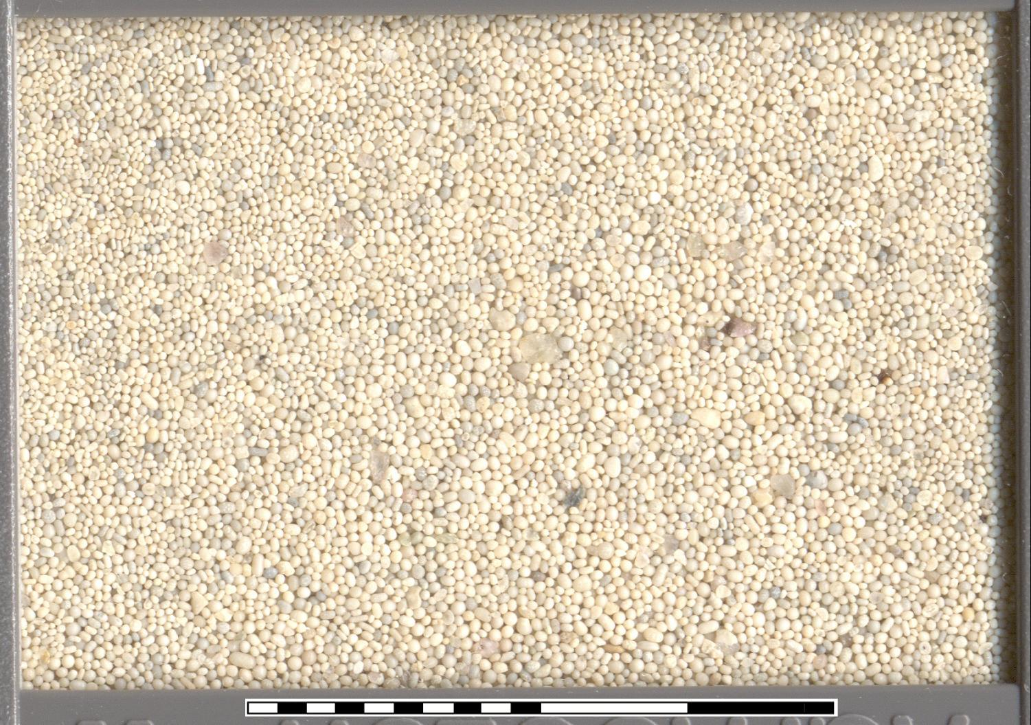beach sand sample