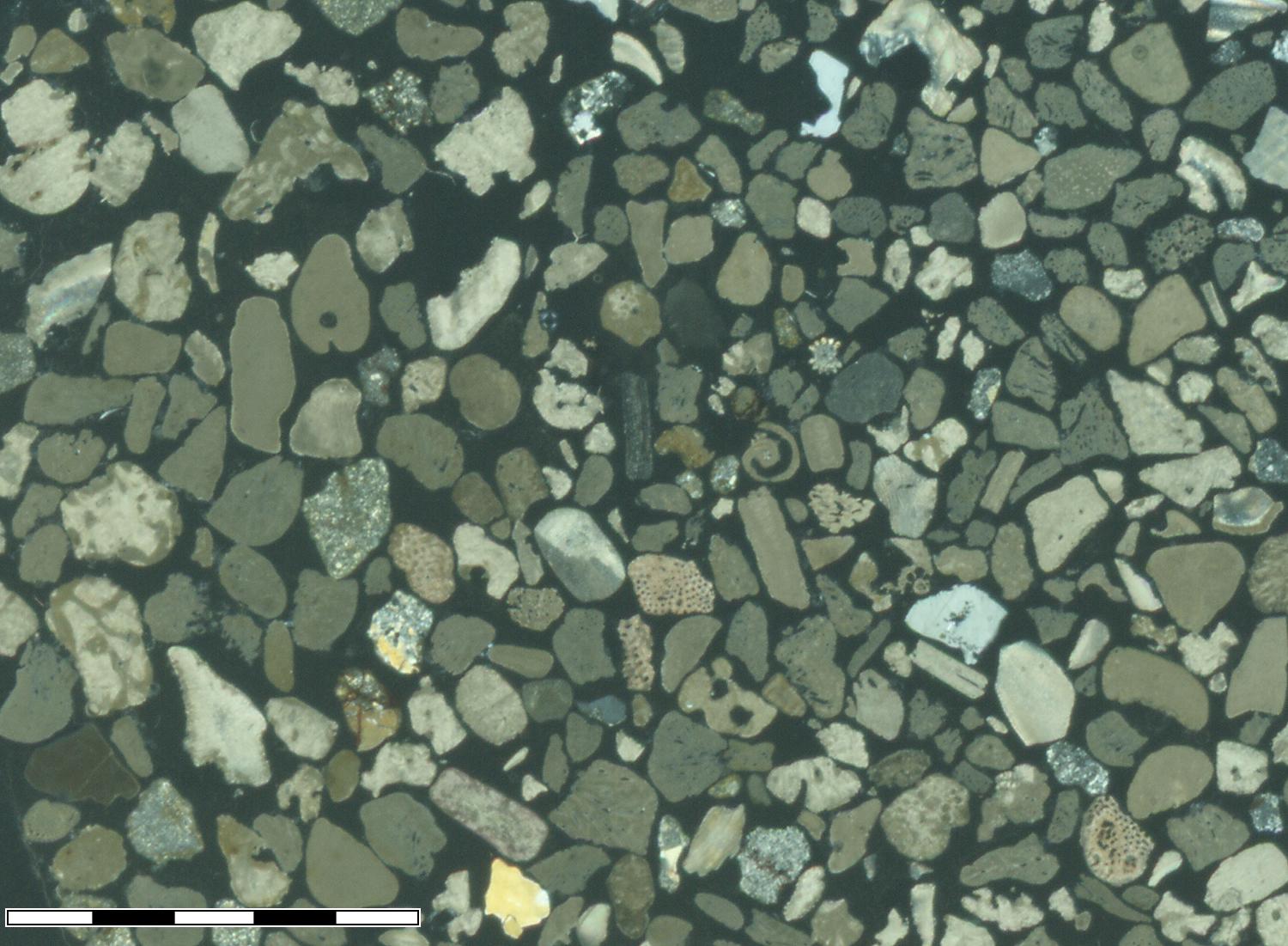 thin section, XPL