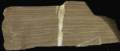 thm_stromatolite.jpg