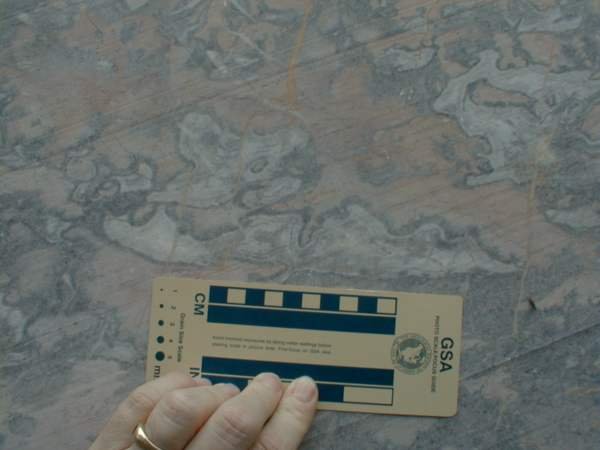 2001caun12.JPG
