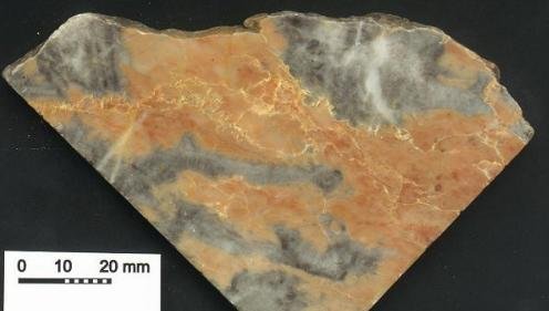 stromatactis.jpg