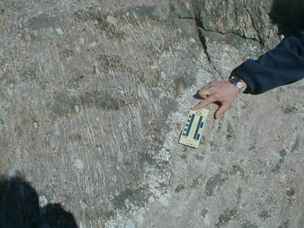 2001heric11.JPG