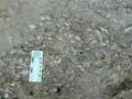 thm_1999-08-Fontfroide12.jpg