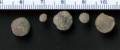 thm_benthic-forams01.jpg