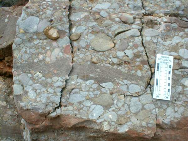 Albas019.jpg