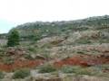 thm_Albas022.jpg