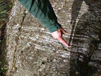 Banded gneiss