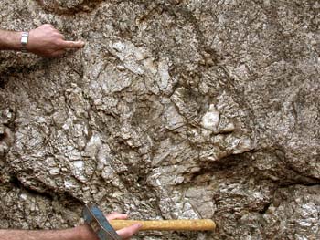quartz segregations