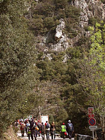Photo of the road at the stert of the trip