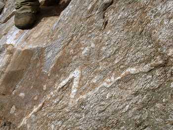 photo of foldsin quartz veins