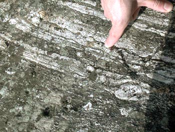 Close up of gneiss