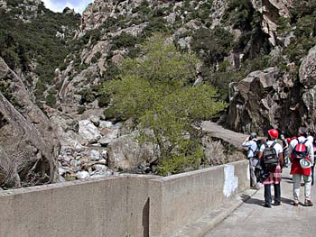 Photo on the bridge 