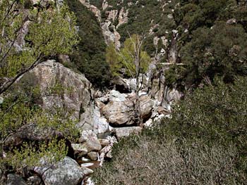 River bed at Loc 8