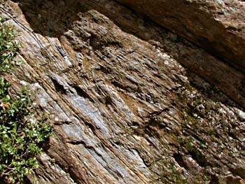 close up of isoclinal fold