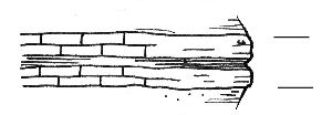 The Vignevieille Limestone and Clay