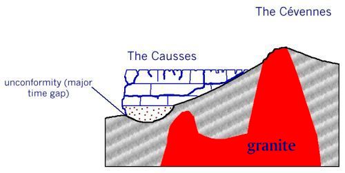 cross section