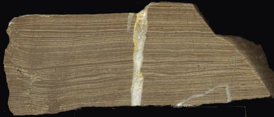 stromatolite - 27 kb