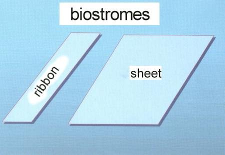 biostrome