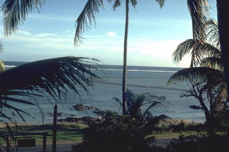 Fiji fringing reef.  36 Kb